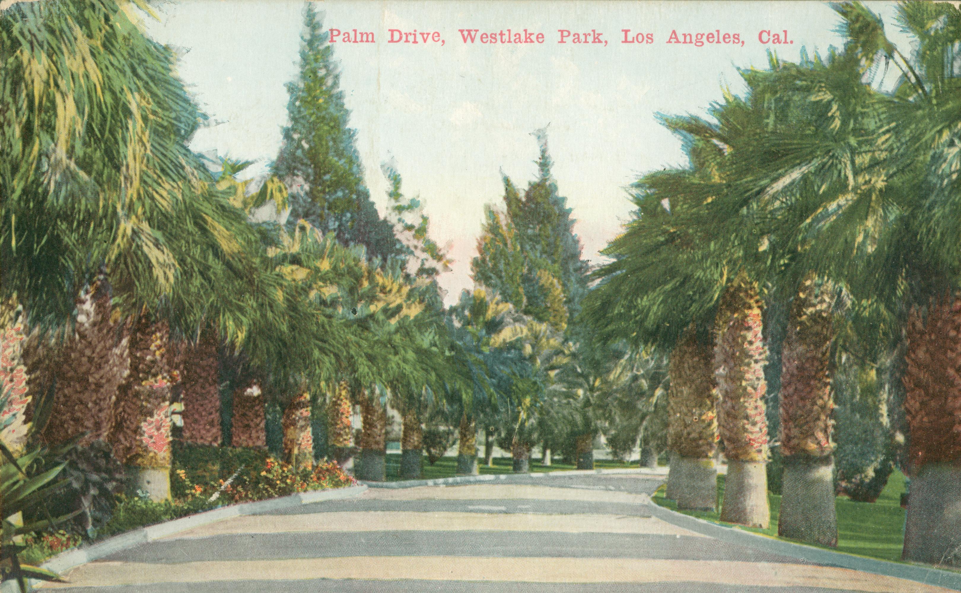 This postcard shows an street lined with palms and flowers